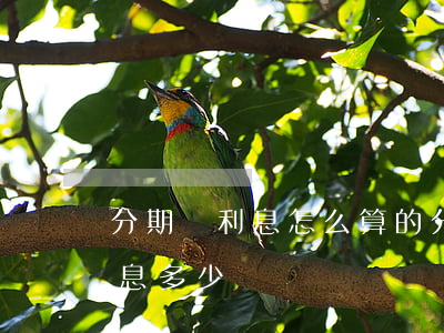 分期樂利息怎么算的(分期樂借10000利息多少)