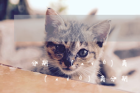 分期樂協(xié)商還款在哪里-分期樂協(xié)商分期