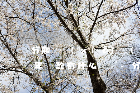 分期樂協(xié)調(diào)延期一年還款有什么懷處-分期樂協(xié)商延期還款