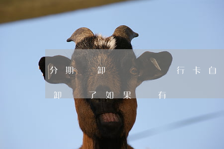 分期樂卸載還會銀行卡自動還款嗎-分期樂卸載了如果還有賬單沒還會提醒嗎