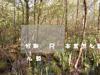 分期樂只還本金怎么算-分期樂只還本金怎么算