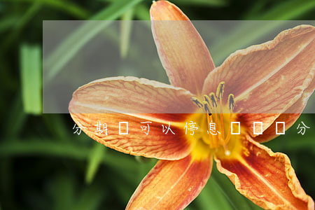 分期樂可以停息掛賬嗎(分期樂停止放款了嗎)
