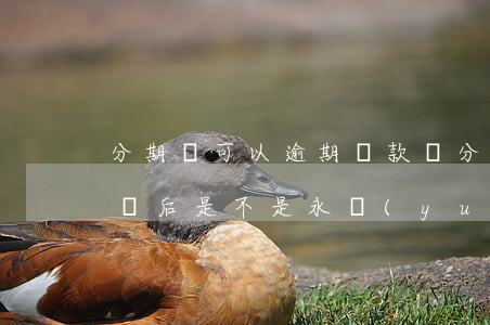 分期樂可以逾期還款嗎(分期樂有過逾期,還完錢后是不是永遠(yuǎn)不能再借了?)