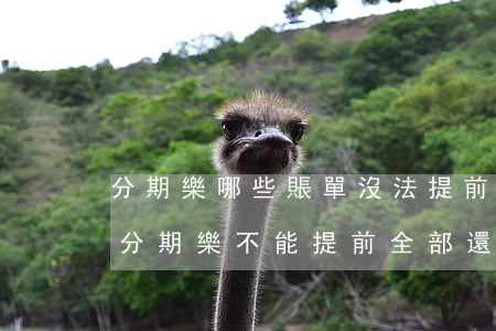 分期樂哪些賬單沒法提前全部還款-分期樂分期樂不能提前全部還完嗎