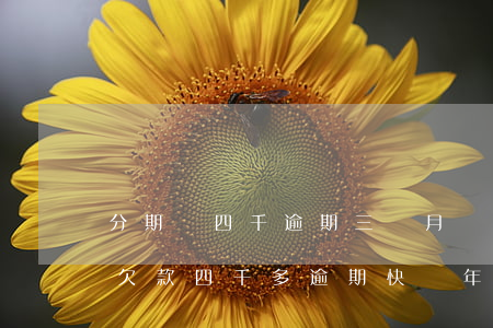 分期樂四千逾期三個月會被起訴嗎-分期樂欠款四千多逾期快兩年了會不會有事?