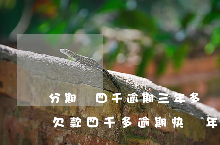 分期樂四千逾期三年多會不會起訴-分期樂欠款四千多逾期快兩年了會不會有事?