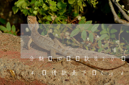 分期樂四號還款日20號借幾號還-分期樂4號借款是下個(gè)月4號還嗎