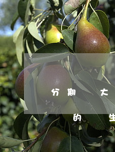分期樂大學生保護模式怎么查看還款-分期樂的學生保護模式在哪里