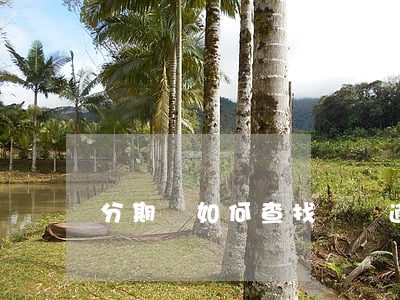 分期樂如何查找賬號逾期多少錢-