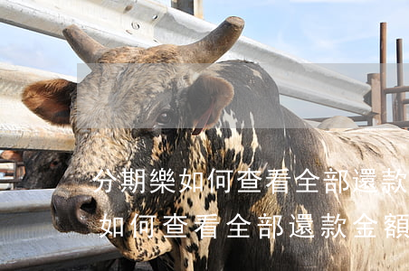 分期樂如何查看全部還款2021-分期樂如何查看全部還款金額