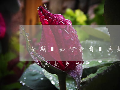 分期樂如何查看總共欠了多少(分期樂如何看一共欠多少)
