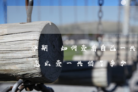 分期樂如何查看自己一共欠多少錢-分期樂怎么查一共借了多少
