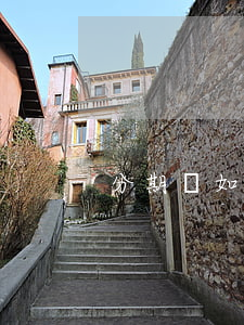分期樂如何看欠多少(分期樂怎么看借了多少)
