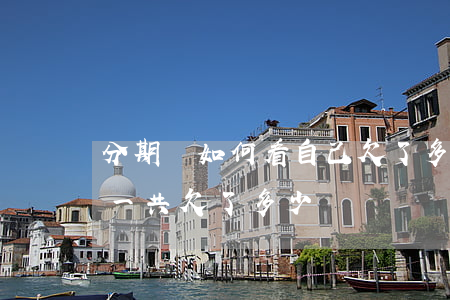 分期樂如何看自己欠了多少(怎么樣看分期樂一共欠了多少錢)