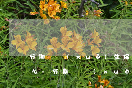 分期樂學(xué)生保護模式能分期還款么-分期樂學(xué)生保護模式可以分期買東西嗎