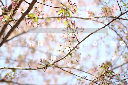 分期樂學(xué)生身份可以延期還款嗎-分期樂學(xué)生模式可以延遲還款嗎