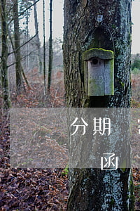 分期樂寄律師函是寄什么快遞(分期樂寄的律師函)