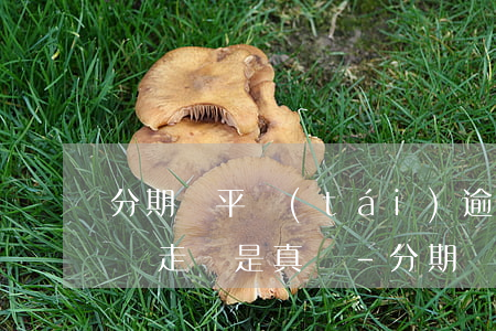 分期樂平臺(tái)逾期會(huì)上門走訪是真嗎-分期樂逾期了說要走訪上門是真的嗎