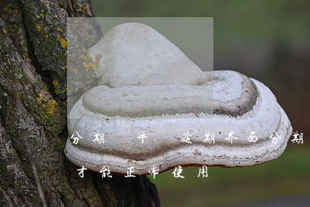 分期樂平臺逾期界面(分期樂有逾期后面怎么才能正常使用)