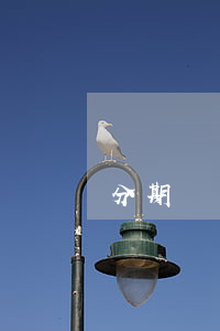分期樂幾點(diǎn)還款不算逾期(分期樂幾點(diǎn)還款不算逾期)