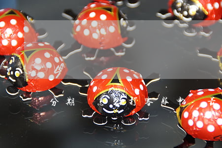 分期樂怎么打客服申請最低還款-