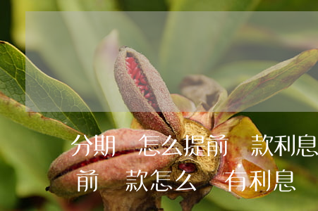 分期樂怎么提前還款利息都一樣-分期樂提前還款怎么還有利息
