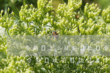 分期樂怎么提前還款還要手續(xù)費-分期樂提前還款還要手續(xù)費嗎