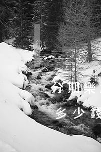 分期樂怎么查欠了多少錢(分期樂怎么查還有多少錢沒還)
