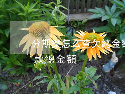 分期樂怎么查欠總金額多少(分期樂怎么查還款總金額)