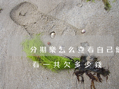 分期樂怎么查看自己總共欠多少(分期樂如何看一共欠多少錢)