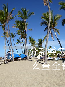 分期樂怎么查看自己還款記錄嗎-分期樂怎么查全部還款