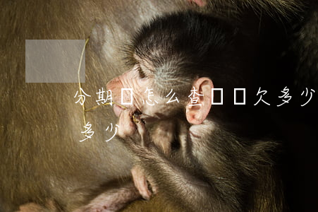 分期樂怎么查詢還欠多少(分期樂怎么查借了多少)
