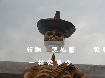 分期樂怎么查詢還欠多少錢(怎么查詢分期樂一共欠多少錢)