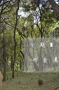 分期樂怎么查還款后額度的變化-分期樂如何查看還款總額度