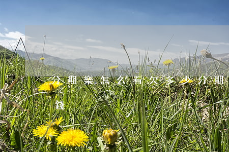 分期樂怎么看欠多少(分期樂怎么看借了多少錢)