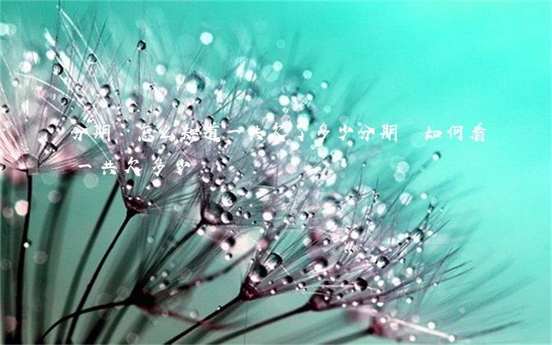 分期樂怎么知道一共欠了多少(分期樂如何看一共欠多少)