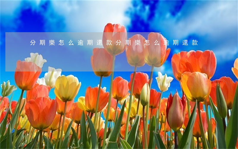 分期樂怎么逾期還款(分期樂怎么逾期還款)