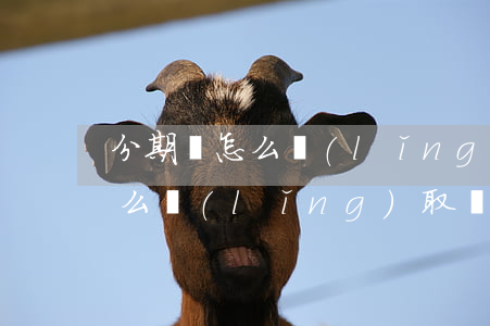 分期樂怎么領(lǐng)免息卷(分期樂怎么領(lǐng)取額度)