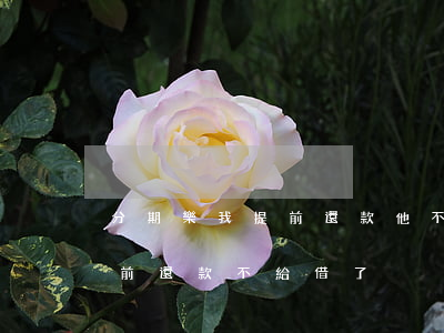 分期樂我提前還款他不給我用了-分期樂提前還款不給借了