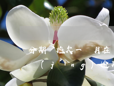 分期樂拖欠一個月在還款會怎么樣(分期樂已經(jīng)逾期了半個月還沒有還會怎么樣)
