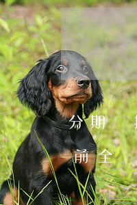 分期樂提前全額還款有沒有利息-分期樂提前全額還款要給利息嗎?