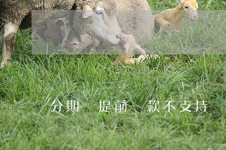 分期樂提前還款不支持銀行卡嗎-