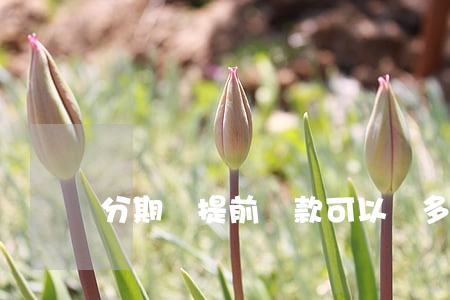 分期樂提前還款可以減多少利息-