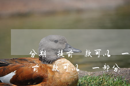 分期樂提前還款可以還一部分嗎-分期樂提前還款可以還一部分嗎銀行卡限額