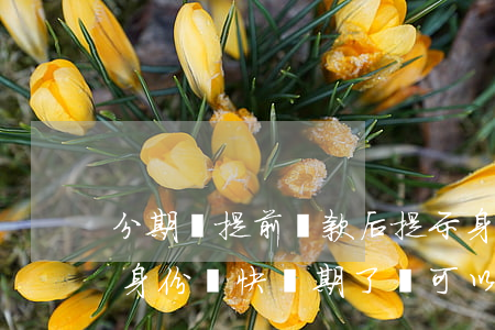 分期樂提前還款后提示身份證過期-分期樂身份證快過期了還可以借錢嗎