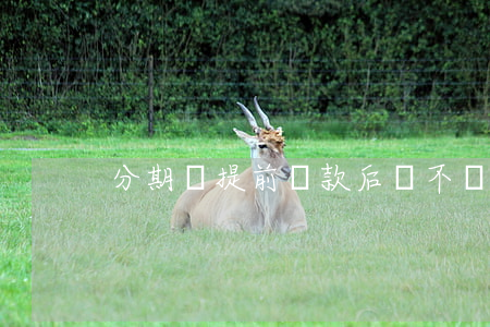 分期樂提前還款后會不會上征信-