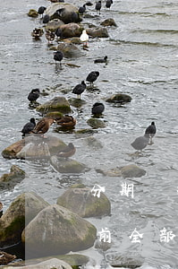 分期樂提前還款后注銷有影響嗎-分期樂提前全部還清了 注銷了以后會不會還