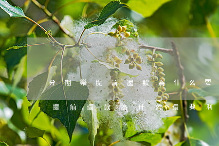 分期樂提前還款為什么要全部還清-分期樂提前還款為什么還要利息