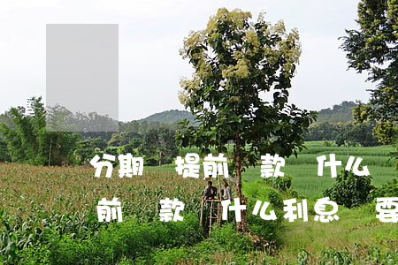 分期樂提前還款為什么還有利息-分期樂提前還款為什么利息還要還