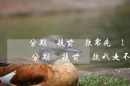分期樂提前還款需先換10個(gè)月-分期樂提前還款我是不是要還每一期的錢